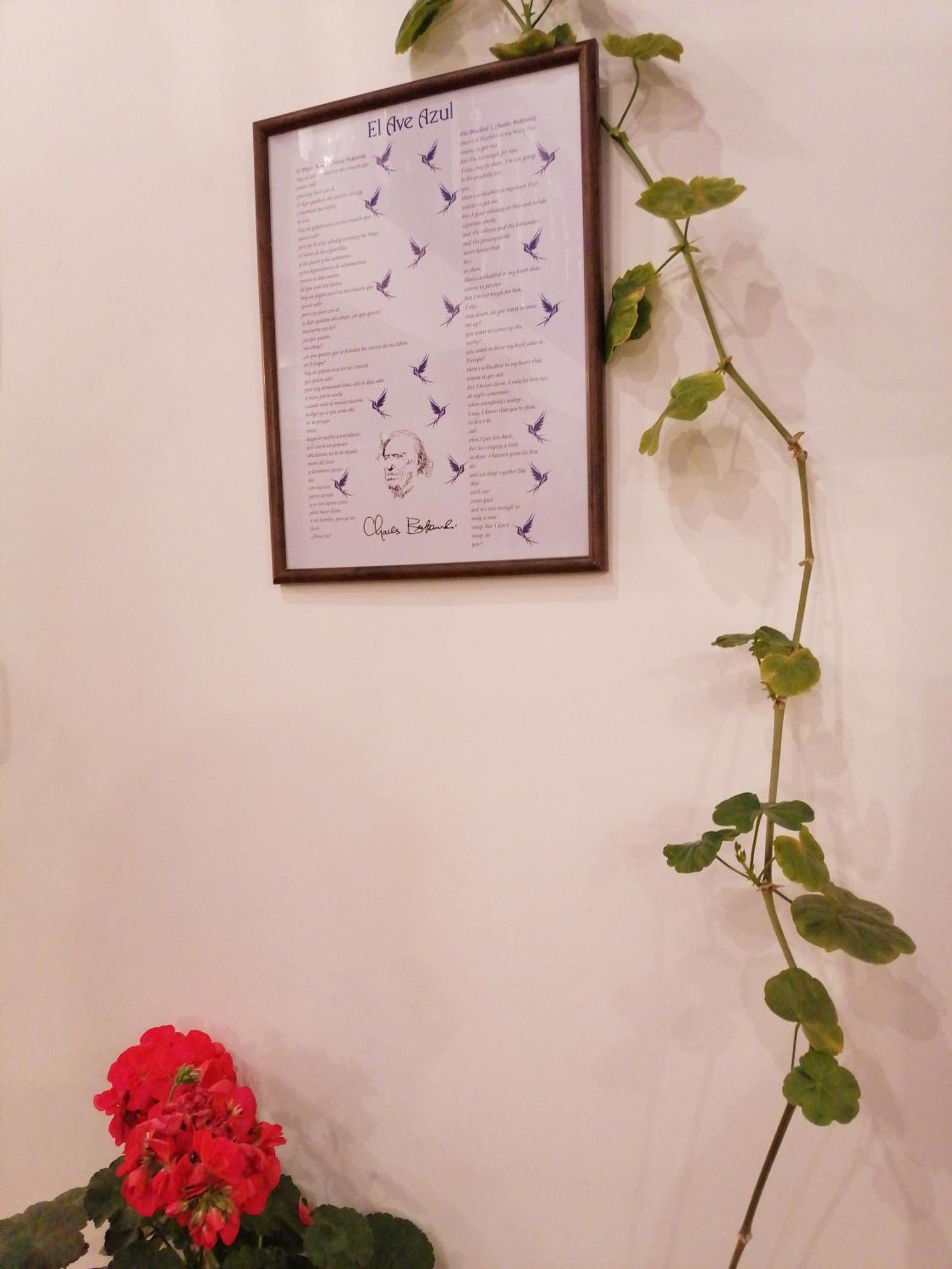 El Ave Azul Boutique Hotel كوسكو المظهر الخارجي الصورة